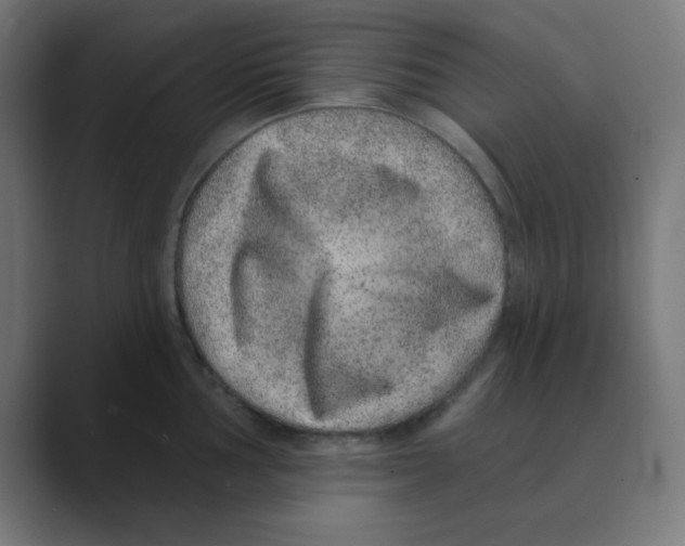 X0000088431002200706191231