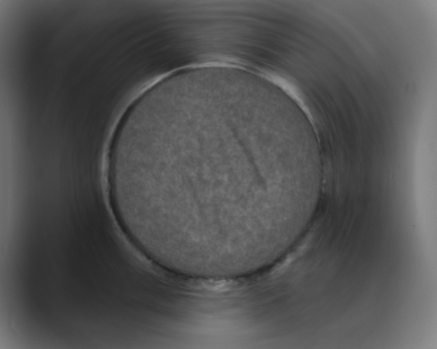 X0000088431003200706191231