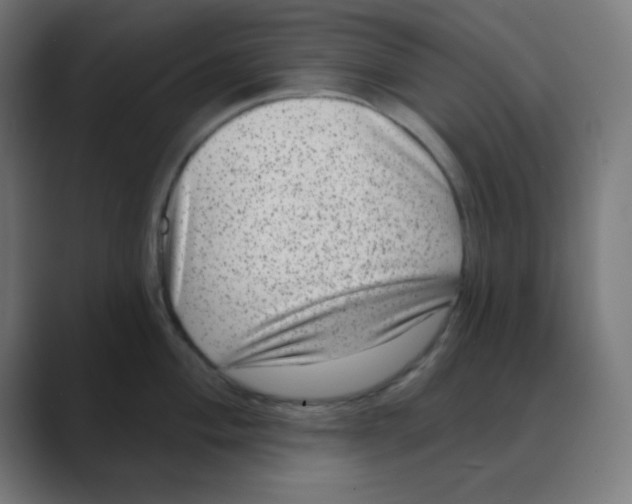 X0000088431004200706191230