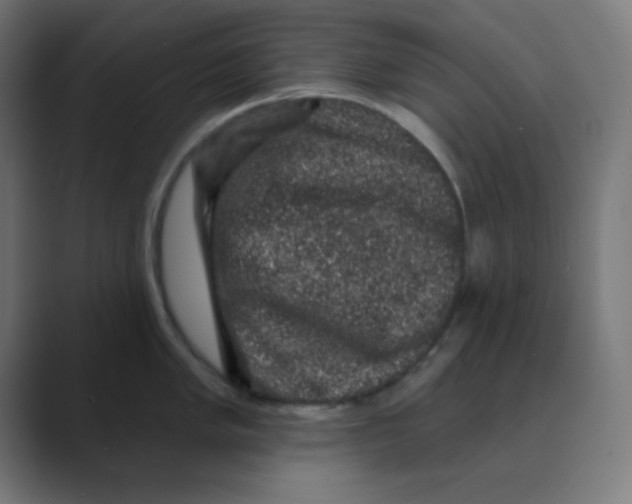 X0000088431005200706191230