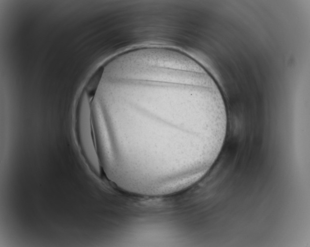 X0000088431006200706191230