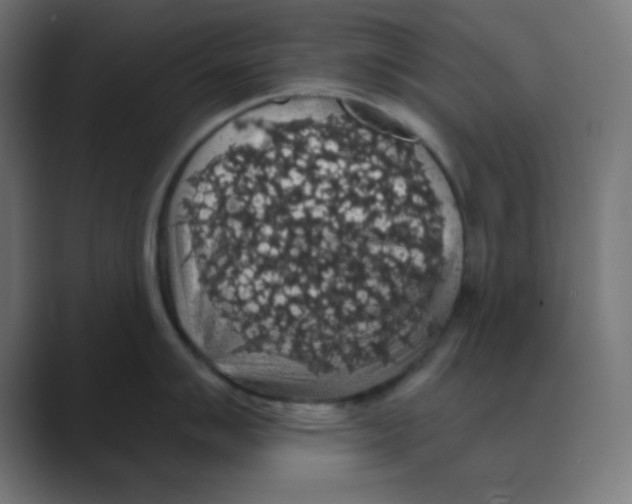 X0000088431007200706191230