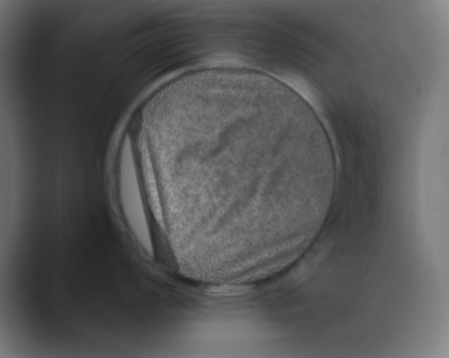 X0000088431008200706191230