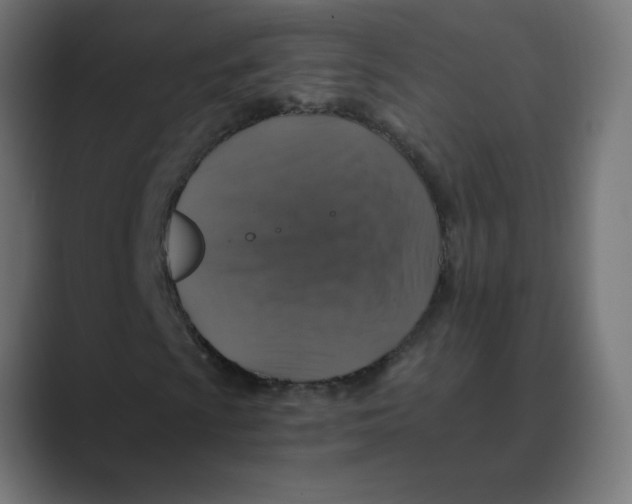 X0000088431009200706191230