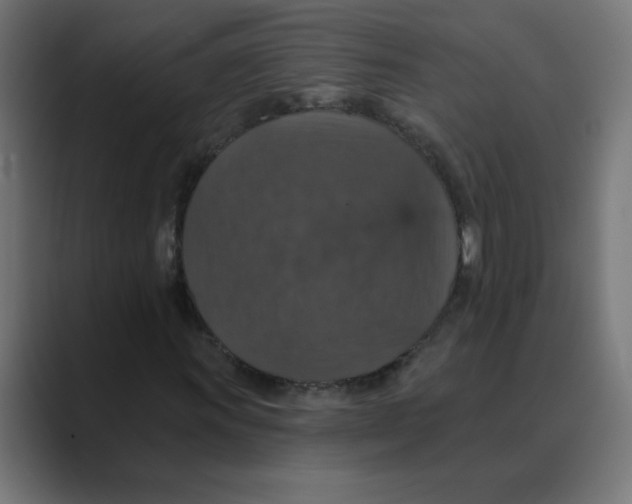 X0000088431011200706191230