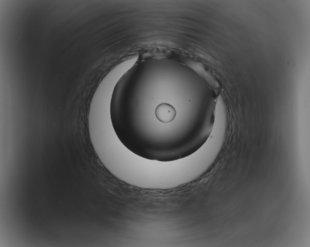 X0000088431014200706191230
