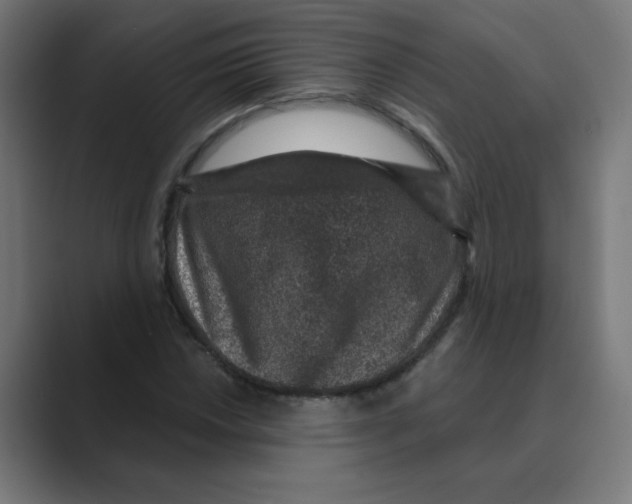 X0000088431018200706191230