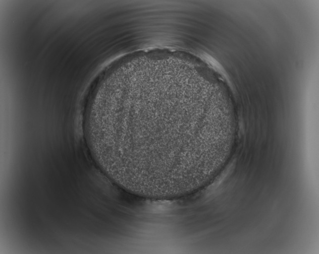 X0000088431019200706191230