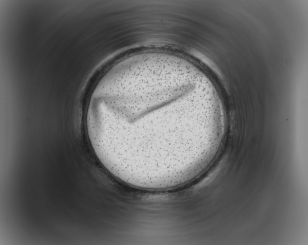 X0000088431021200706191230
