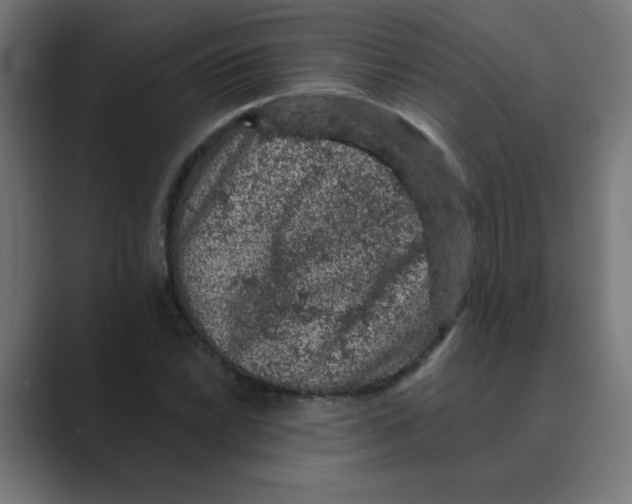 X0000088431022200706191230