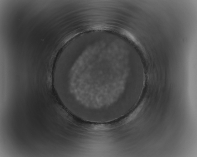 X0000088431025200706191230