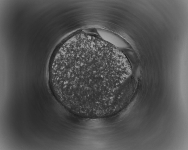 X0000088431028200706191230