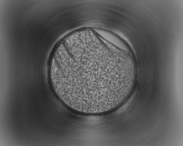 X0000088431029200706191230