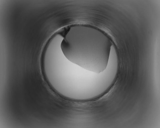 X0000088431030200706191230