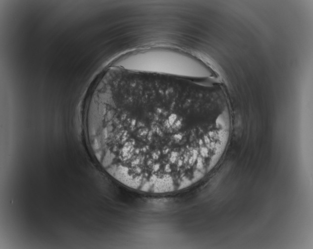 X0000088431031200706191230