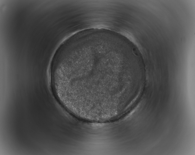 X0000088431032200706191230