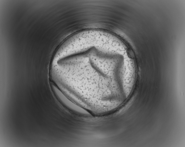 X0000088431033200706191230