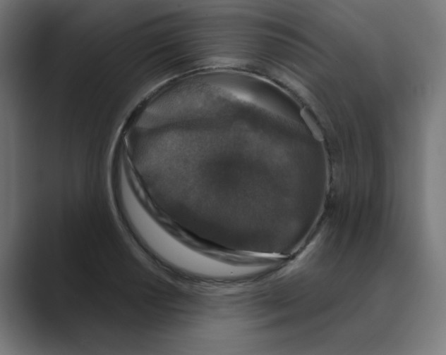X0000088431034200706191230