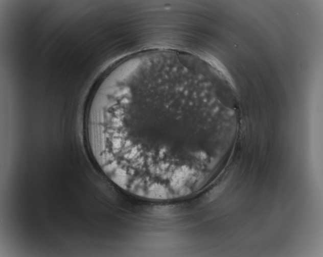 X0000088431035200706191230