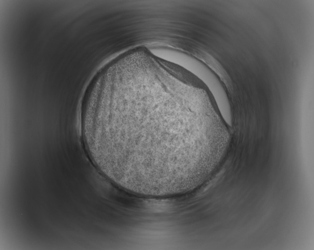 X0000088431036200706191230
