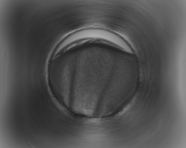 X0000088431038200706191230