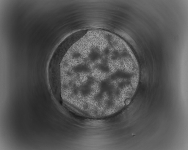 X0000088431039200706191230