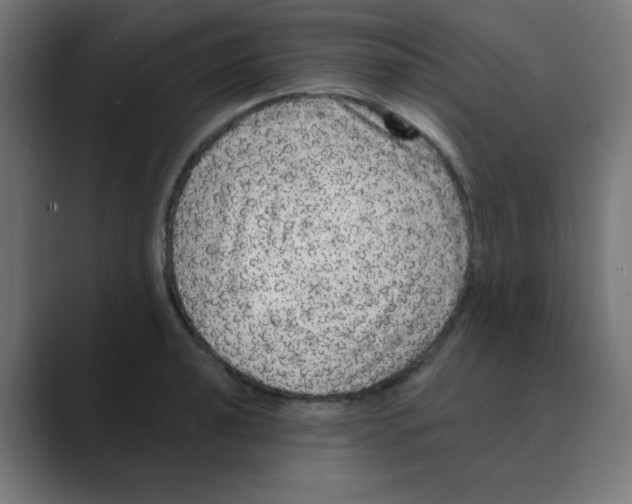 X0000088431040200706191230