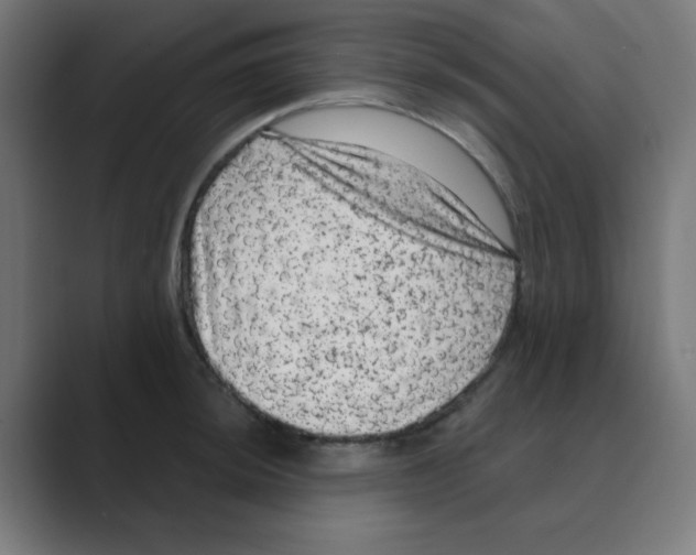 X0000088431044200706191230