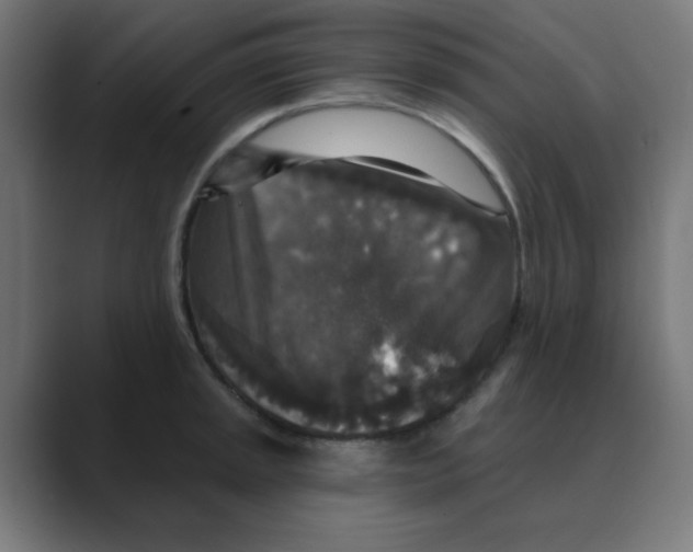 X0000088431045200706191230