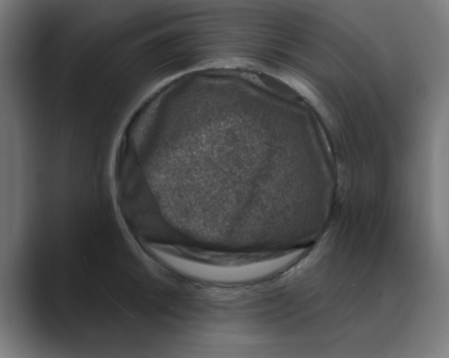 X0000088431046200706191230