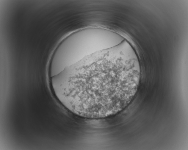 X0000088431048200706191230
