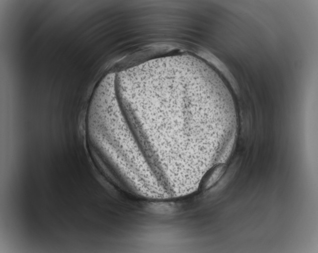 X0000088431049200706191230
