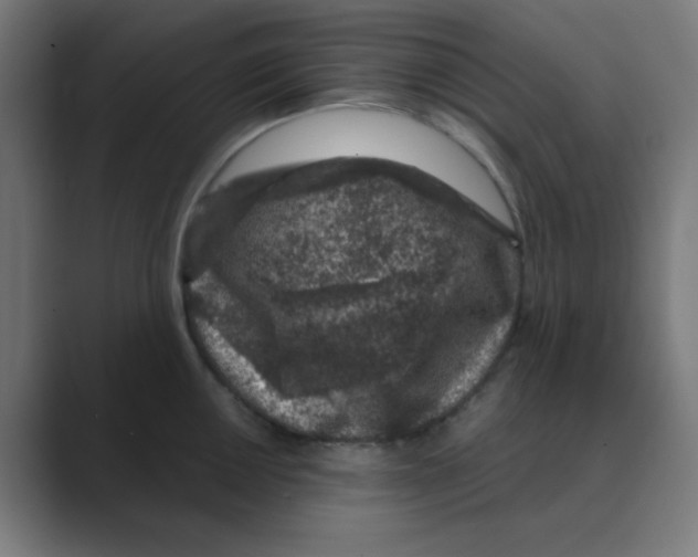X0000088431050200706191230