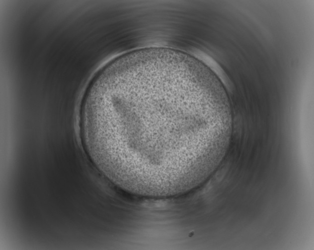 X0000088431051200706191230
