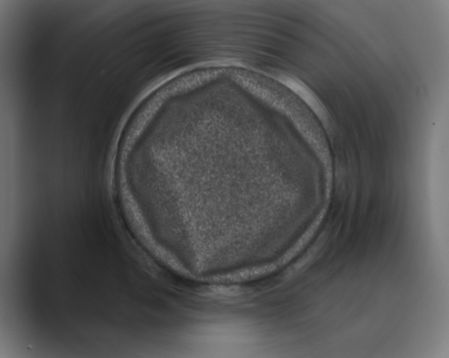 X0000088431052200706191230