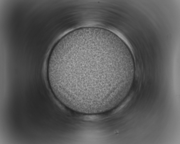 X0000088431053200706191230