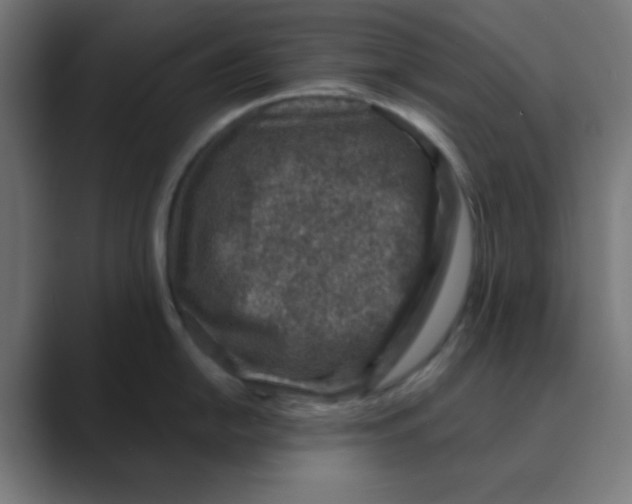 X0000088431054200706191230