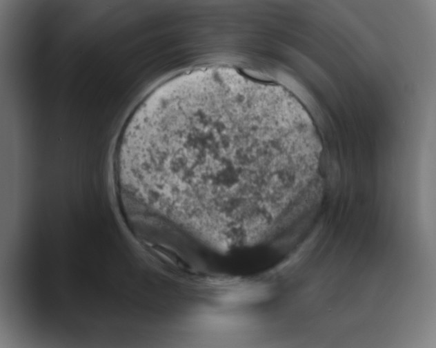 X0000088431055200706191230
