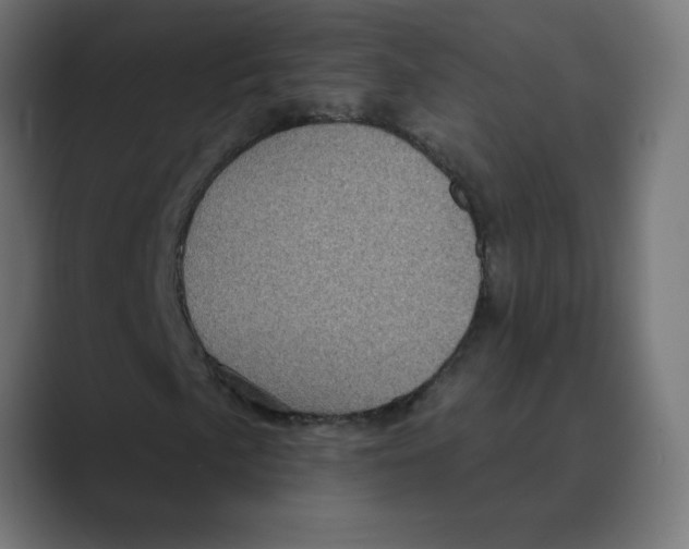 X0000088431057200706191230