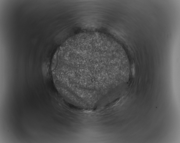 X0000088431059200706191230