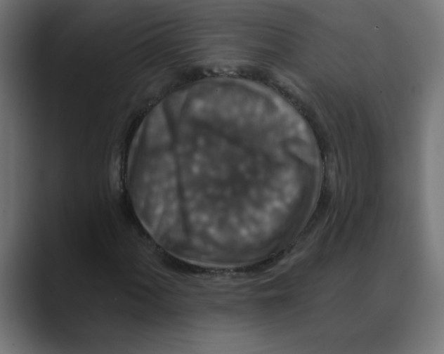 X0000088431060200706191230