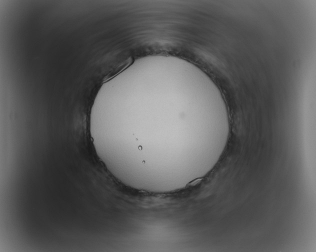 X0000088431061200706191230
