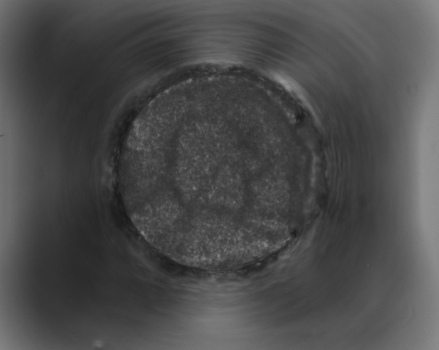 X0000088431064200706191230