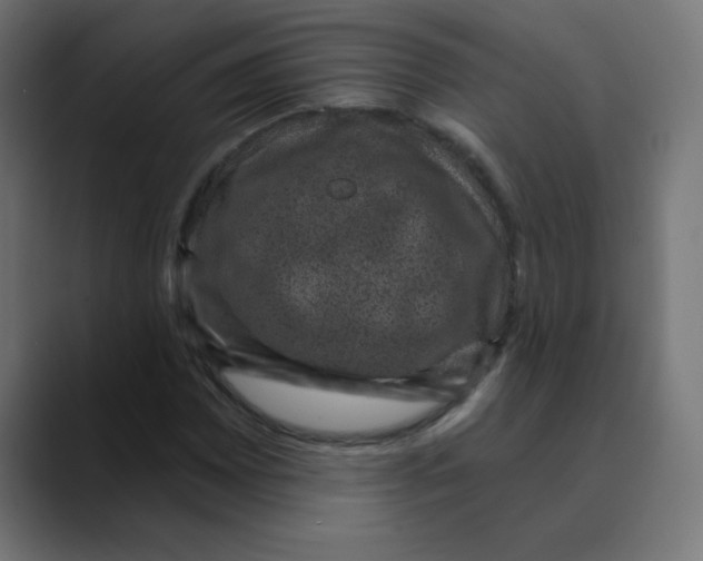 X0000088431065200706191230