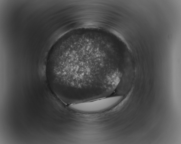 X0000088431066200706191230