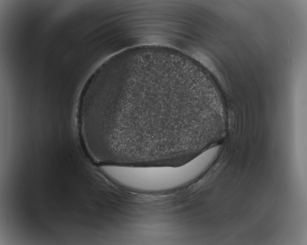 X0000088431068200706191230