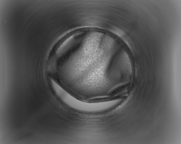 X0000088431069200706191230