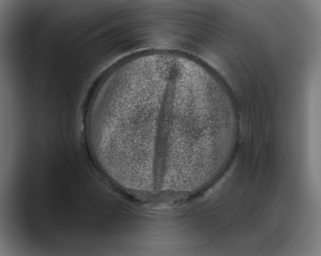 X0000088431070200706191230