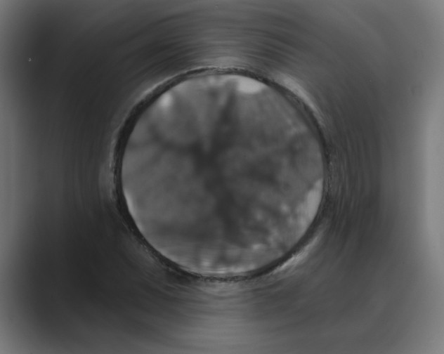 X0000088431071200706191230