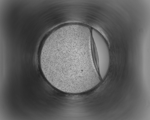 X0000088431072200706191230